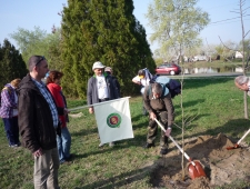 faültetés Ráckevén